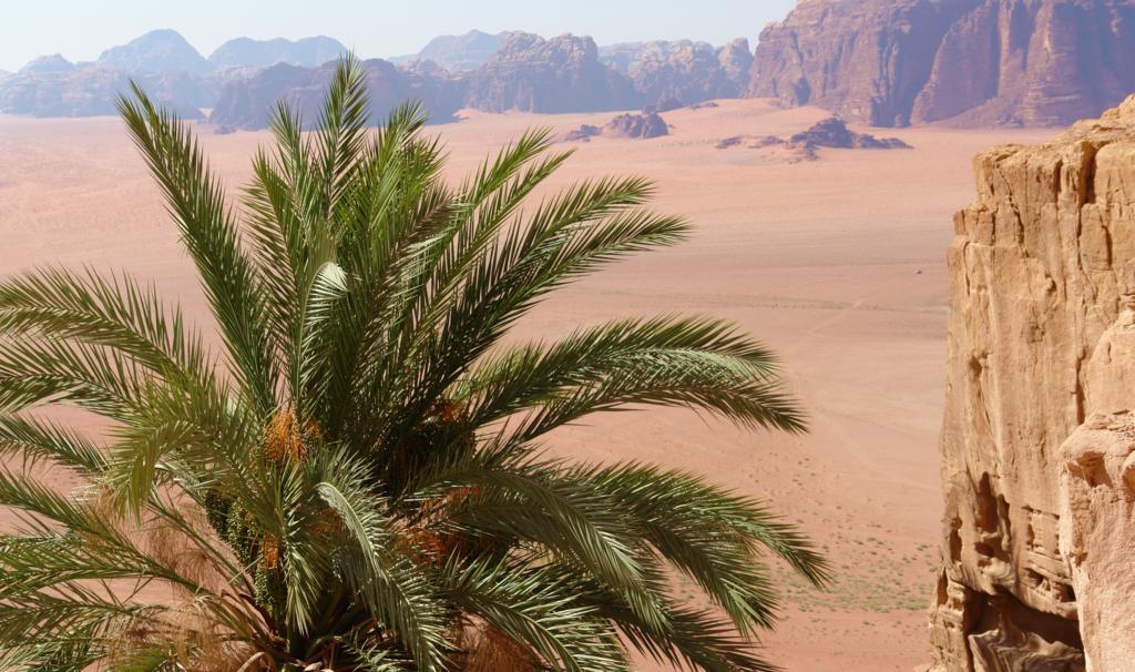 Wadi Rum Camp Zewnętrze zdjęcie
